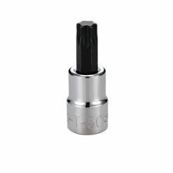 Flash Sale 😍 Craftsman T50 3/8" Drive Torx Bit Socket 🤩